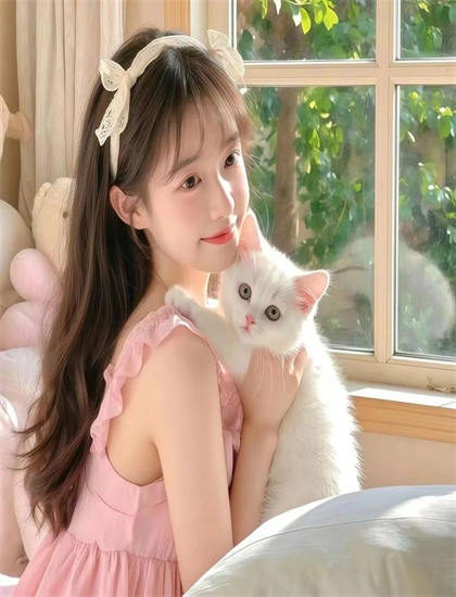 弄假成真：专业人士推荐与评分解读